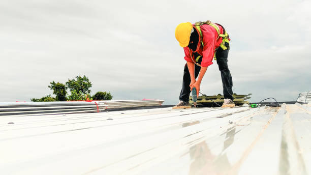 Best Chimney Flashing Repair  in Cedar Springs, MI