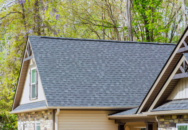 Best Roof Moss and Algae Removal  in Cedar Springs, MI